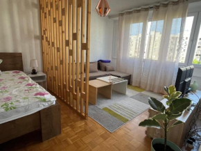 Apartment studio 30